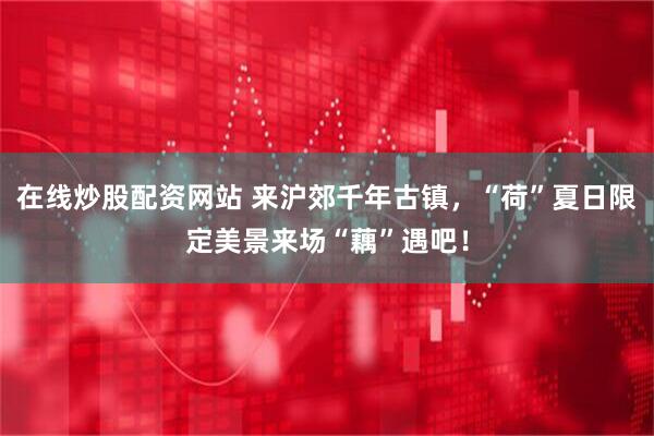 在线炒股配资网站 来沪郊千年古镇，“荷”夏日限定美景来场“藕”遇吧！