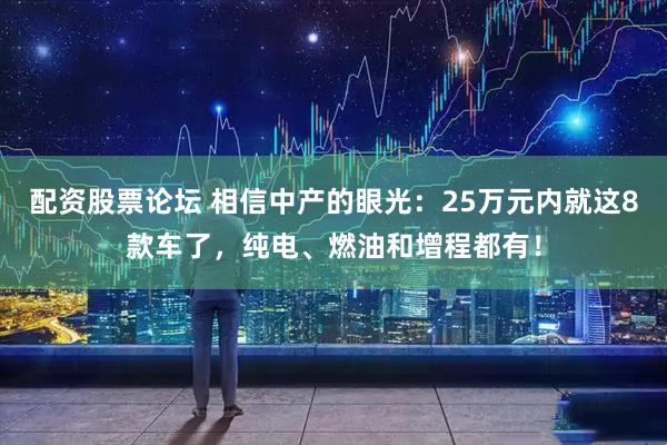 配资股票论坛 相信中产的眼光：25万元内就这8款车了，纯电、燃油和增程都有！